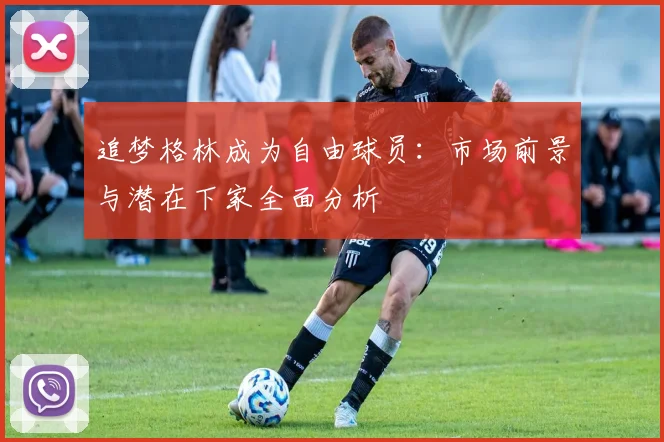 追梦格林成为自由球员:市场前景与潜在下家全面分析