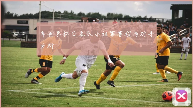 年世界杯日本队小组赛赛程与对手分析